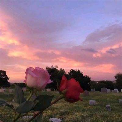 安博体育app官方下载入口