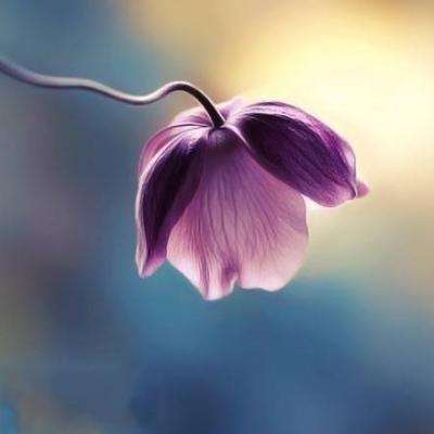 BOB体育平台下载地址