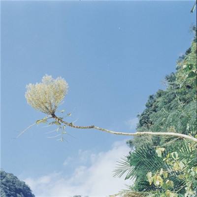 单机的打鱼游戏手机app下载截图