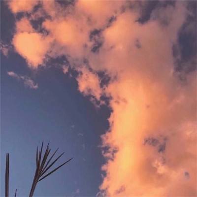 ob体育手机app下载