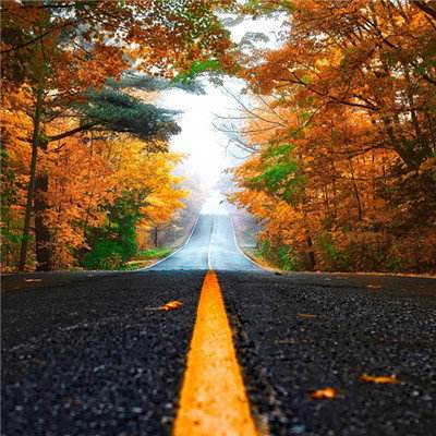 188金宝搏手机app下载