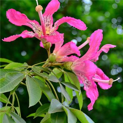 爱游戏全站APP入口苹果版手机app下载